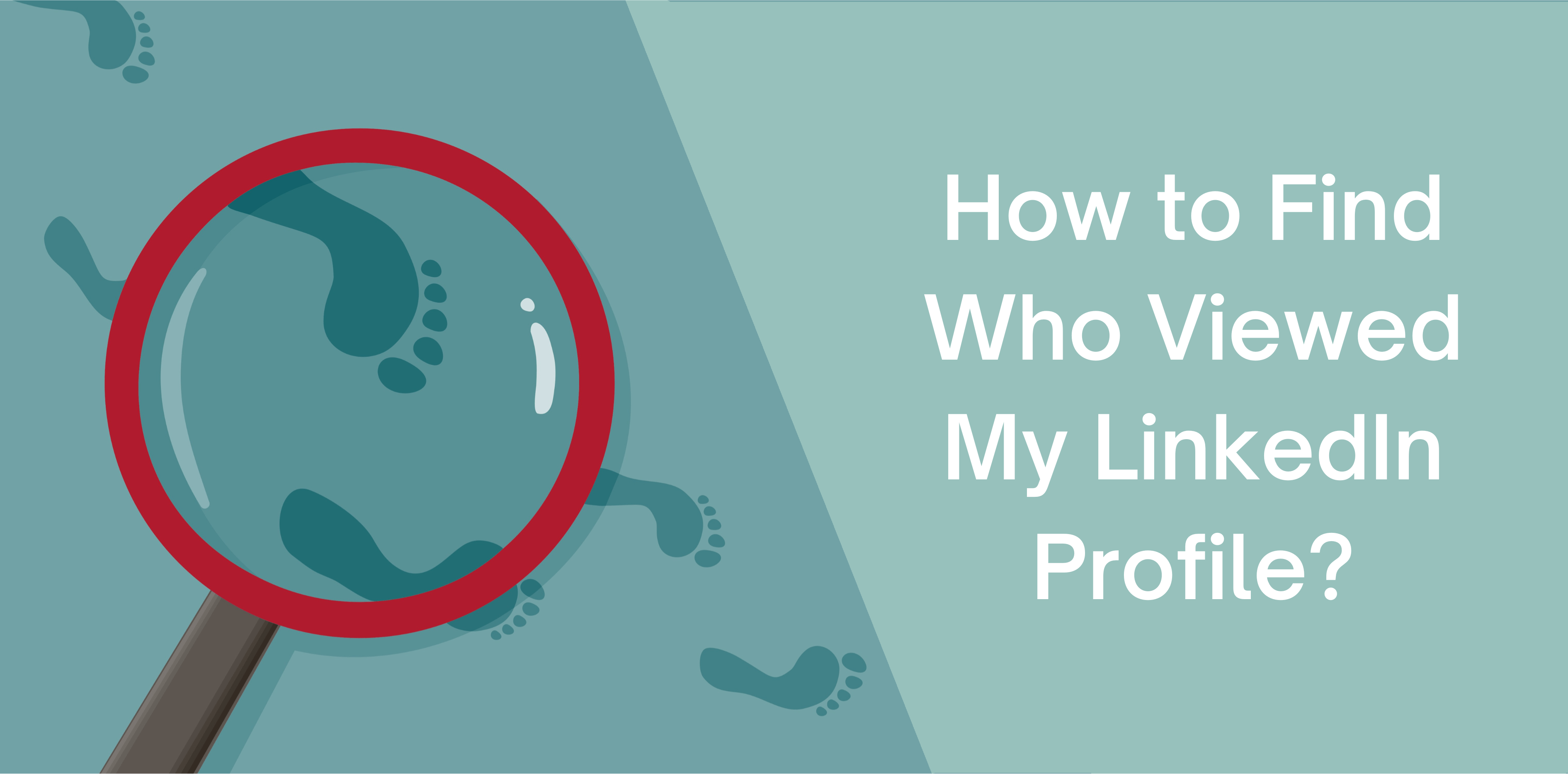 how-to-find-who-viewed-my-linkedin-profile-octopus-crm